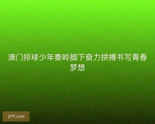 澳门排球少年秦岭脚下奋力拼搏书写青春梦想 澳门排球少年秦岭脚下奋力拼搏书写青春梦想